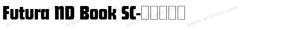 Futura ND Book SC字体转换